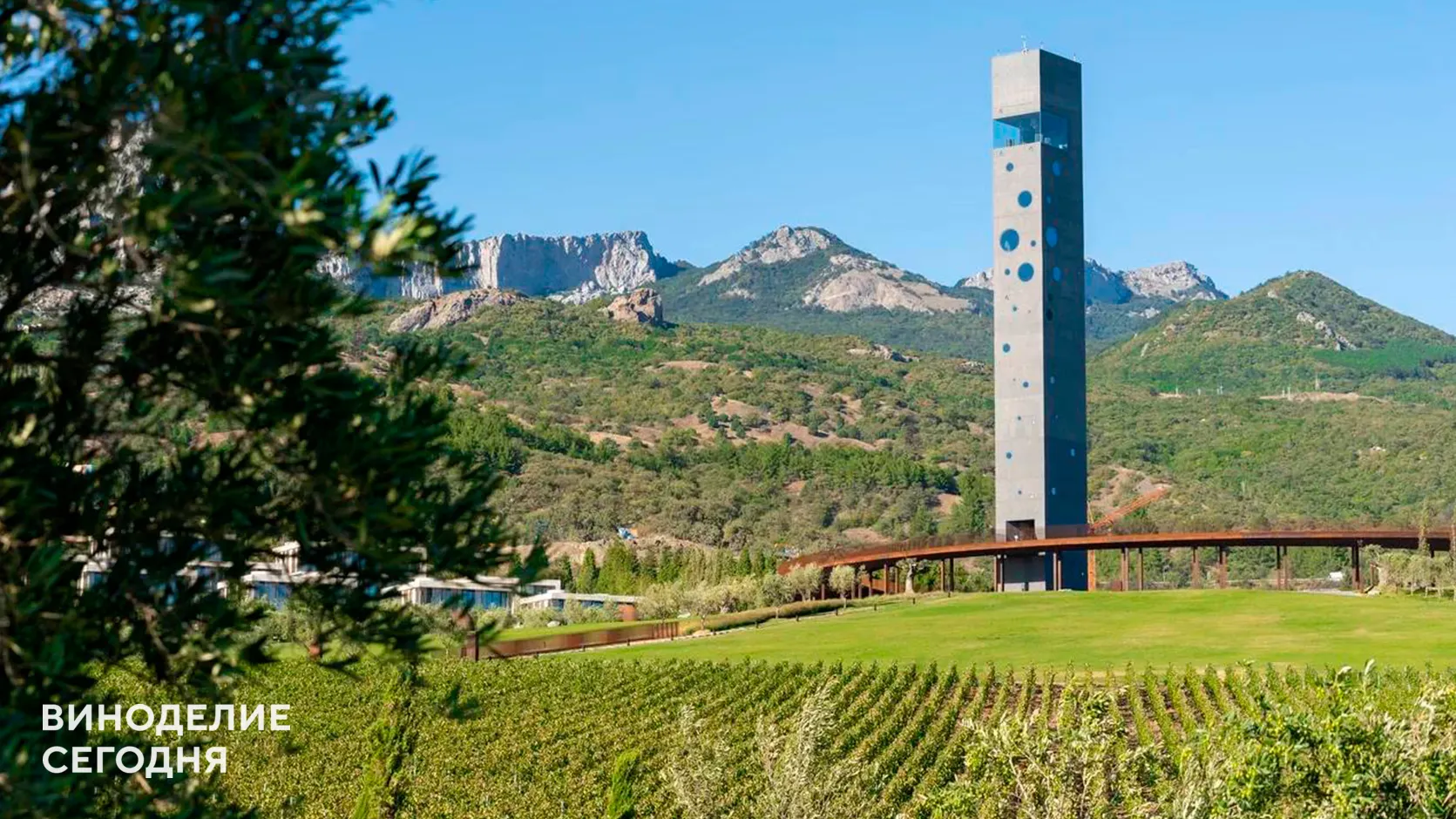 Главный винодел WINEPARK: «Терруар нельзя окончательно оценить раньше, чем через 15–20 лет»