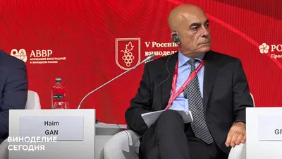 Хаим Ган призвал сохранять профессиональную независимость международных винных конкурсов
