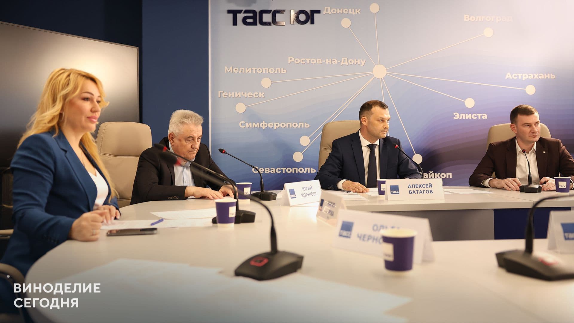 В Ростове-на-Дону обсудили развитие южного виноделия: итоги пяти лет, актуальные вызовы и острые проблемы, стратегия до 2030 года