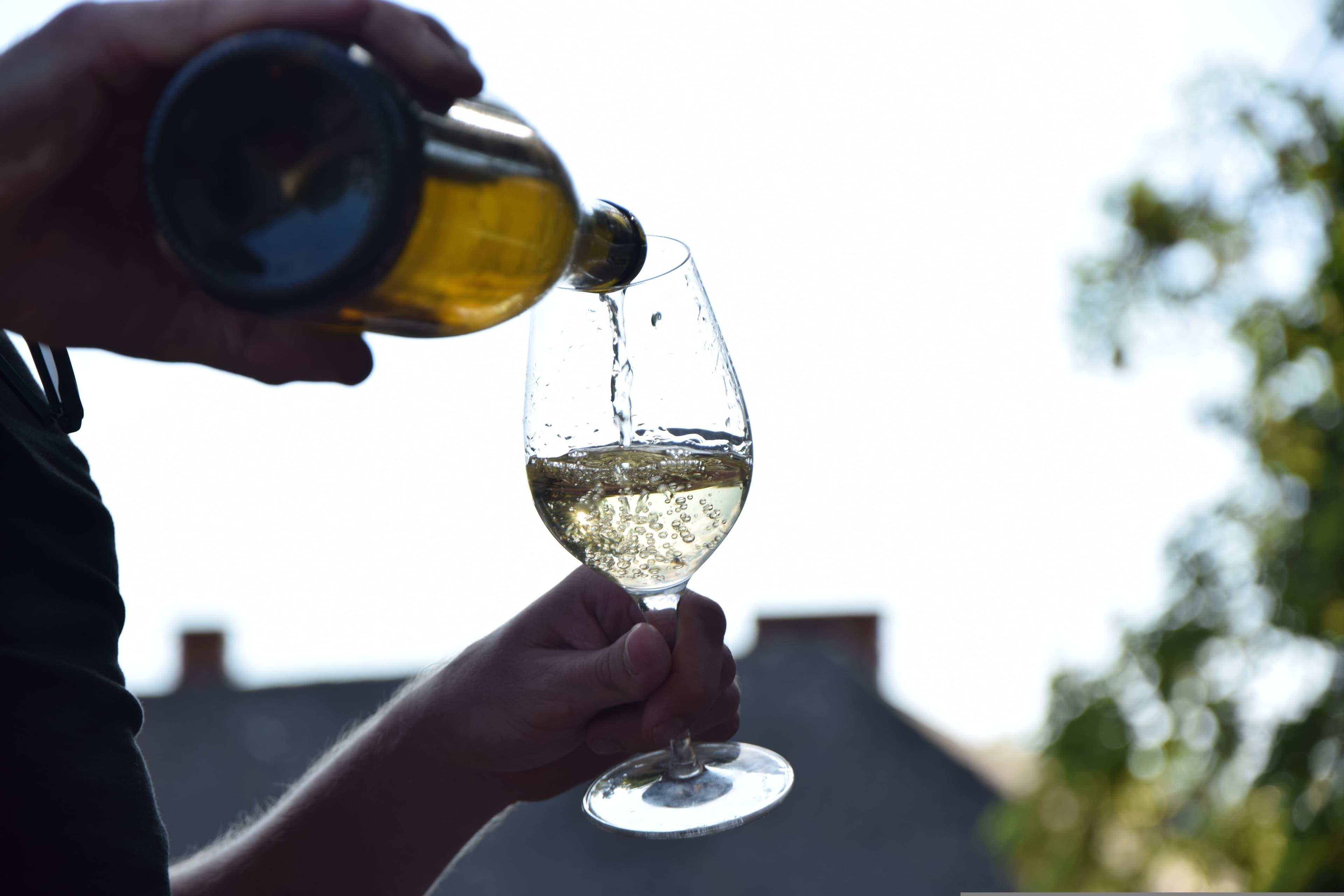 Gunko Winery расширит премиальную линейку Monumental