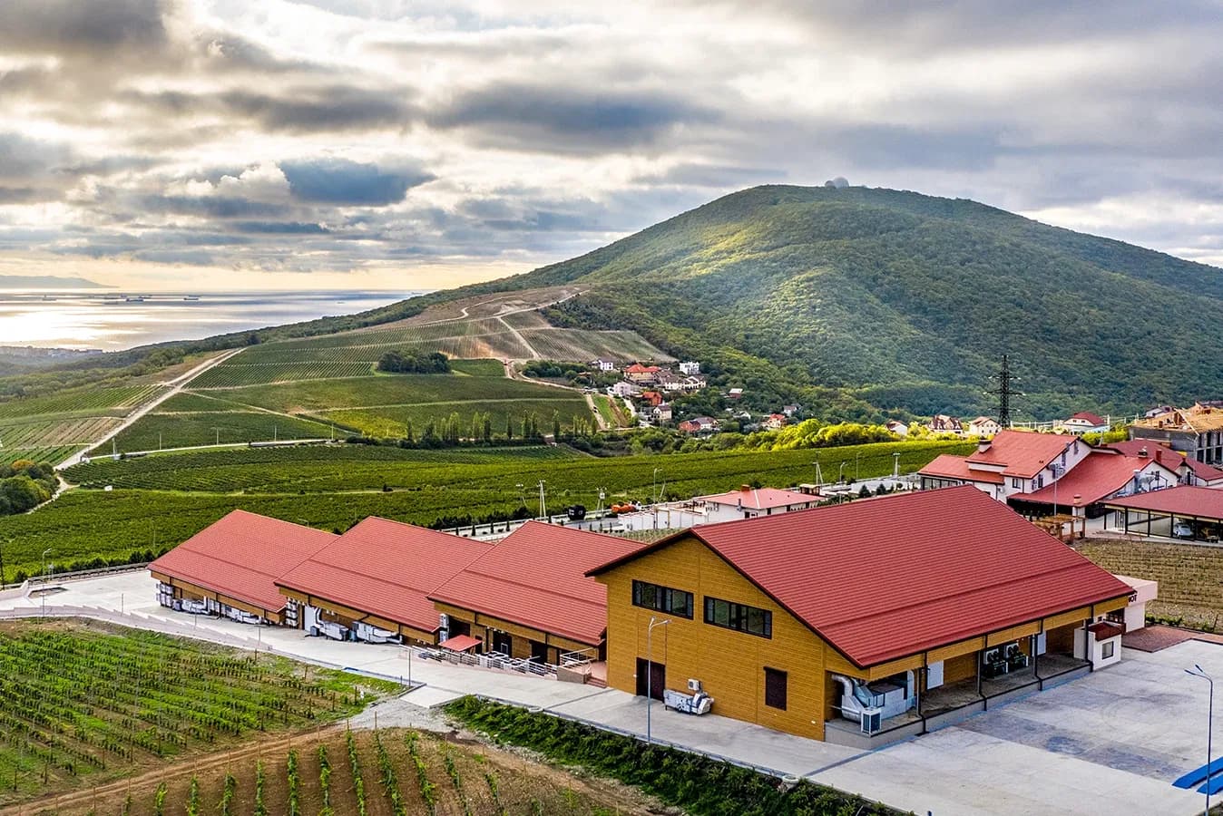 На фото винодельня «Château Pinot»