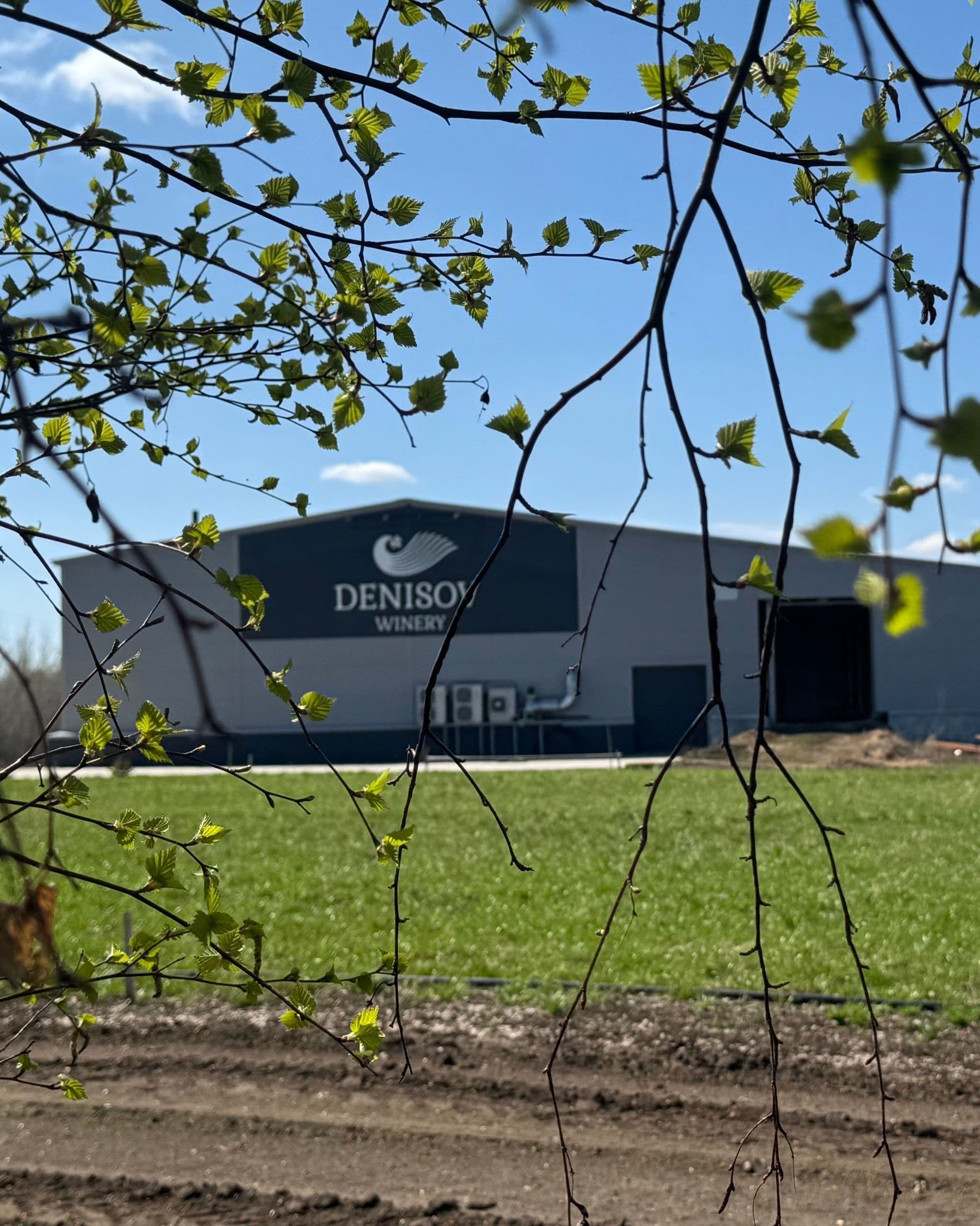 Denisov Winery — самая северная винодельня России, Самарская область