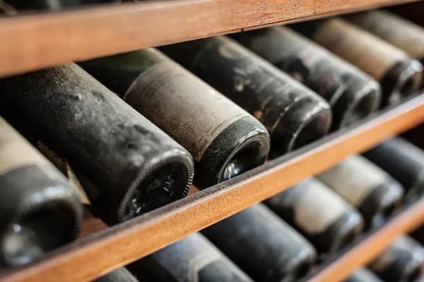 На благотворительном аукционе продали бургундское вино урожая 1865 года