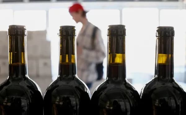 В Роскачестве рассказали о моде на отечественное вино в России