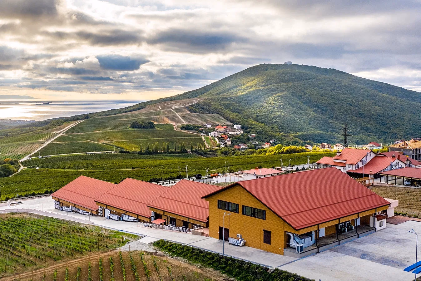 На фото винодельня «Château Pinot»