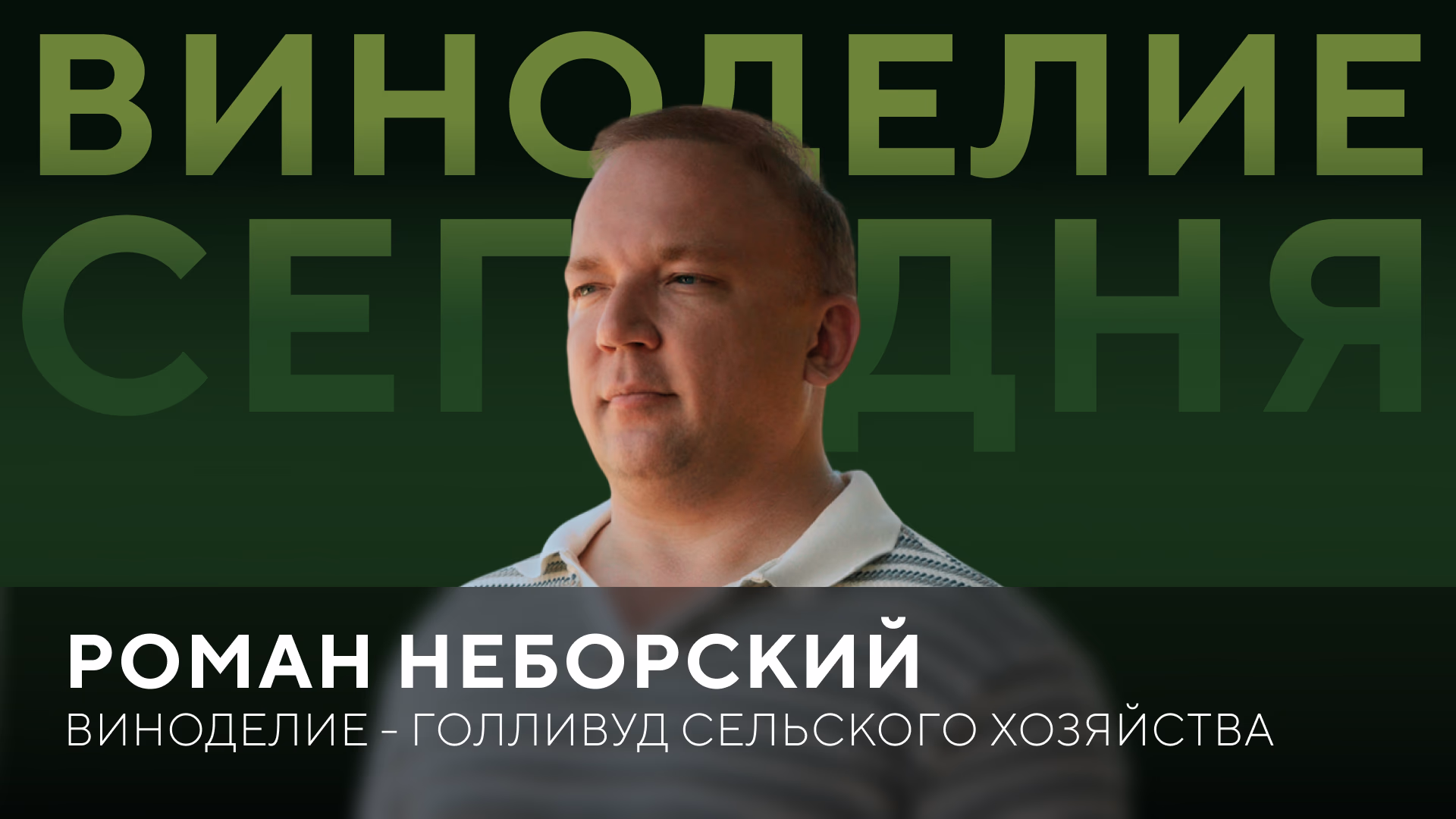 Роман Неборский: интервью с главным виноделом "Мезыбь"