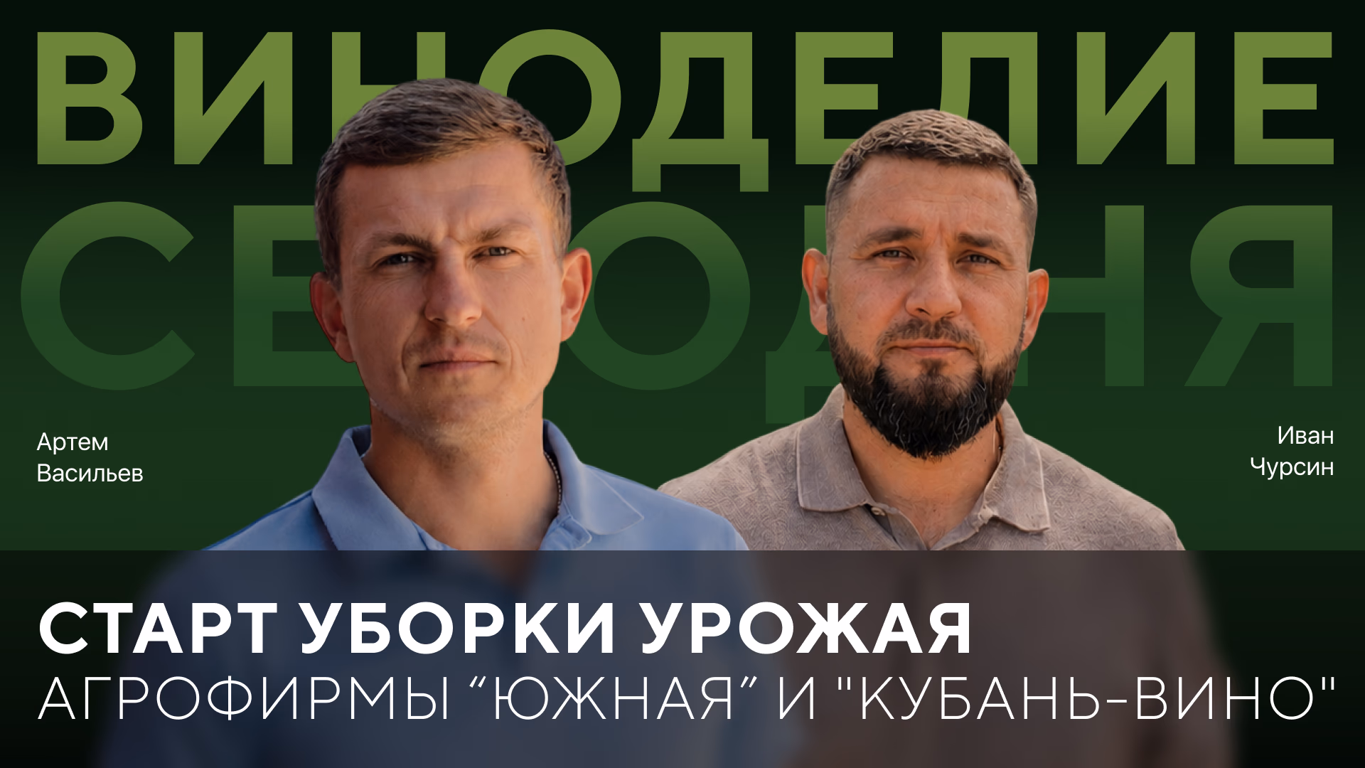 Старт уборки урожая агрофирмы «Южная» и «Кубань-Вино»