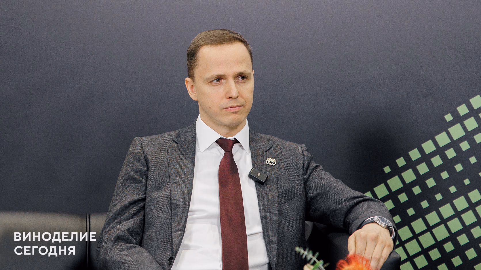 Пётр Ефремов – о расширении площадей виноградников