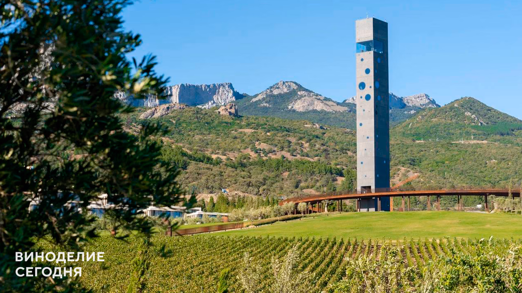 Главный винодел WINEPARK: «Терруар нельзя окончательно оценить раньше, чем через 15–20 лет»