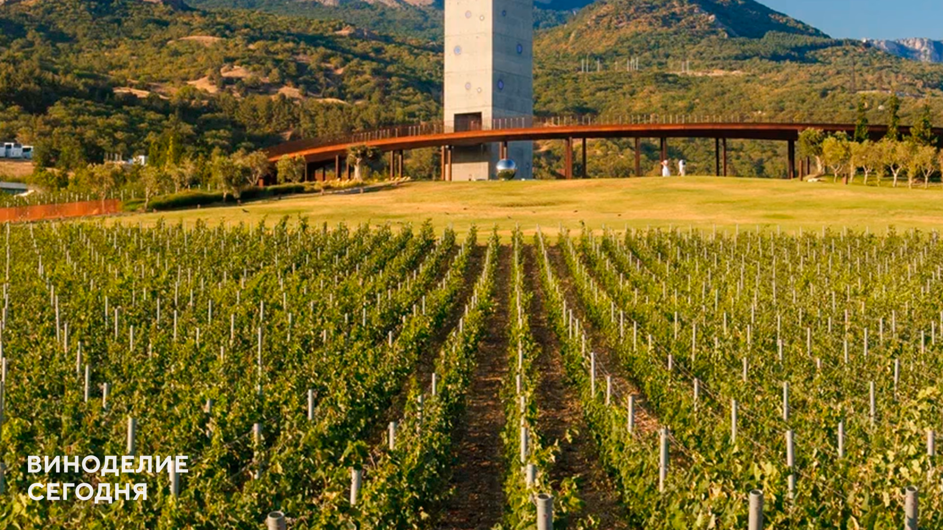 Главный энолог WINEPARK посоветовал выбирать сорта по терруару, а не по известности