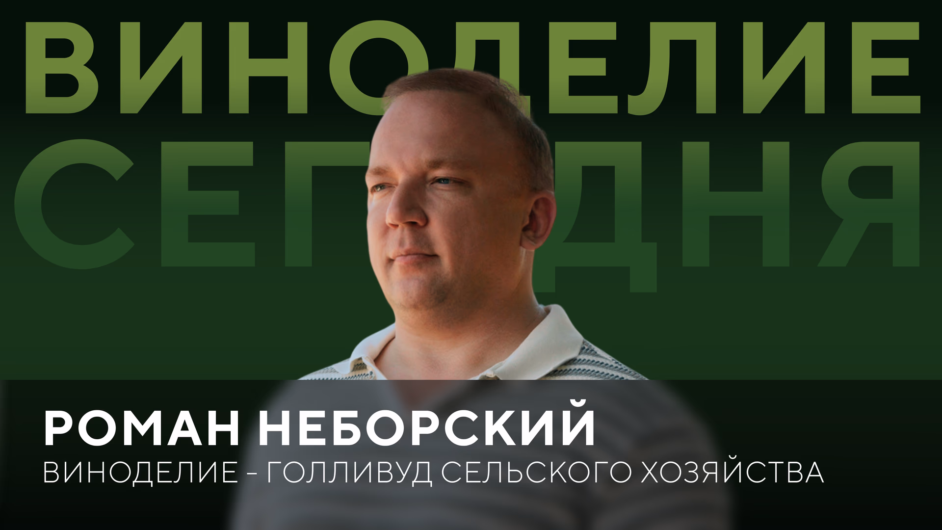 Роман Неборский: интервью с главным виноделом "Мезыбь"