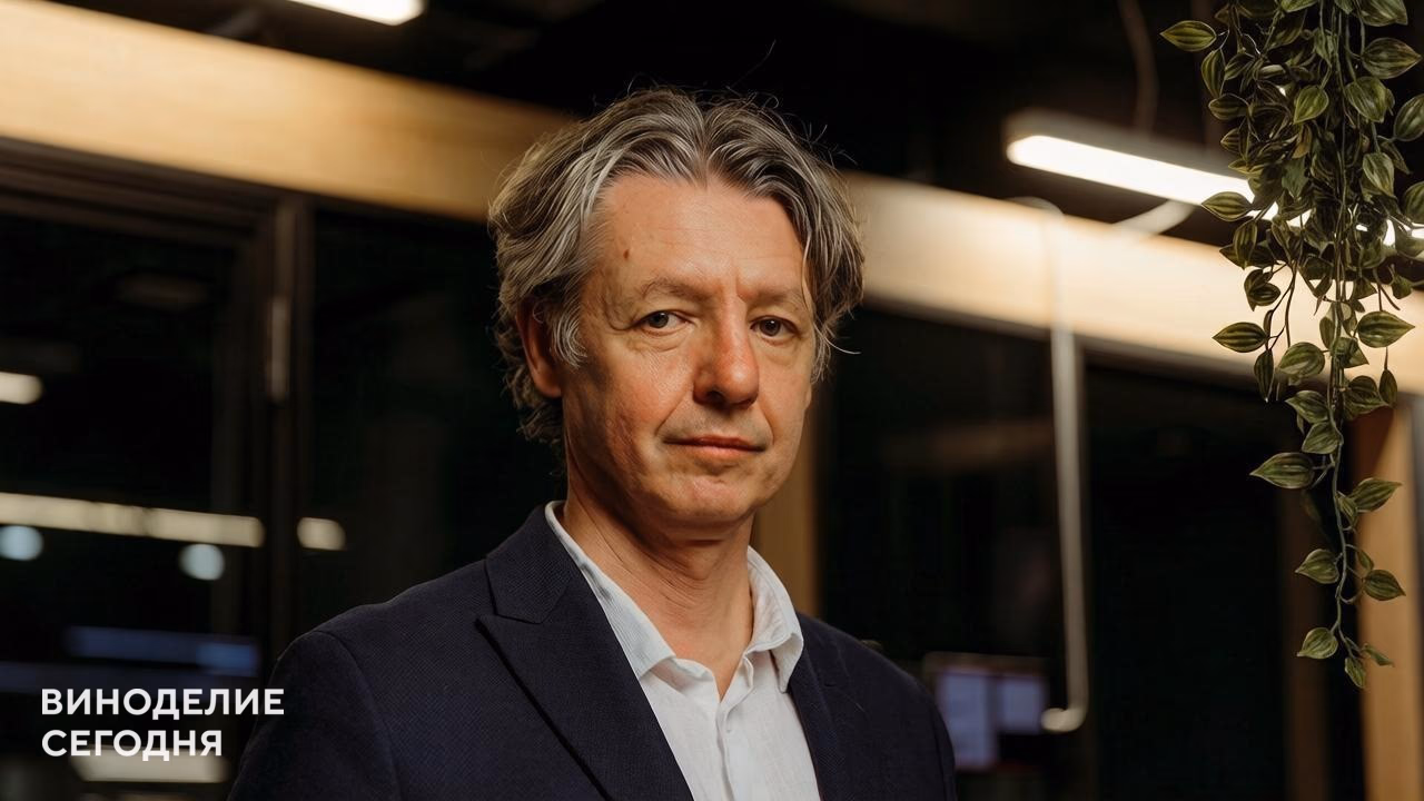 Дмитрий Мережко: инвестиционный рынок сформировался вокруг вин, которые нельзя было пить сразу