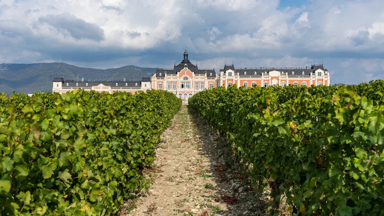 На фото винодельня «Château de Talu»