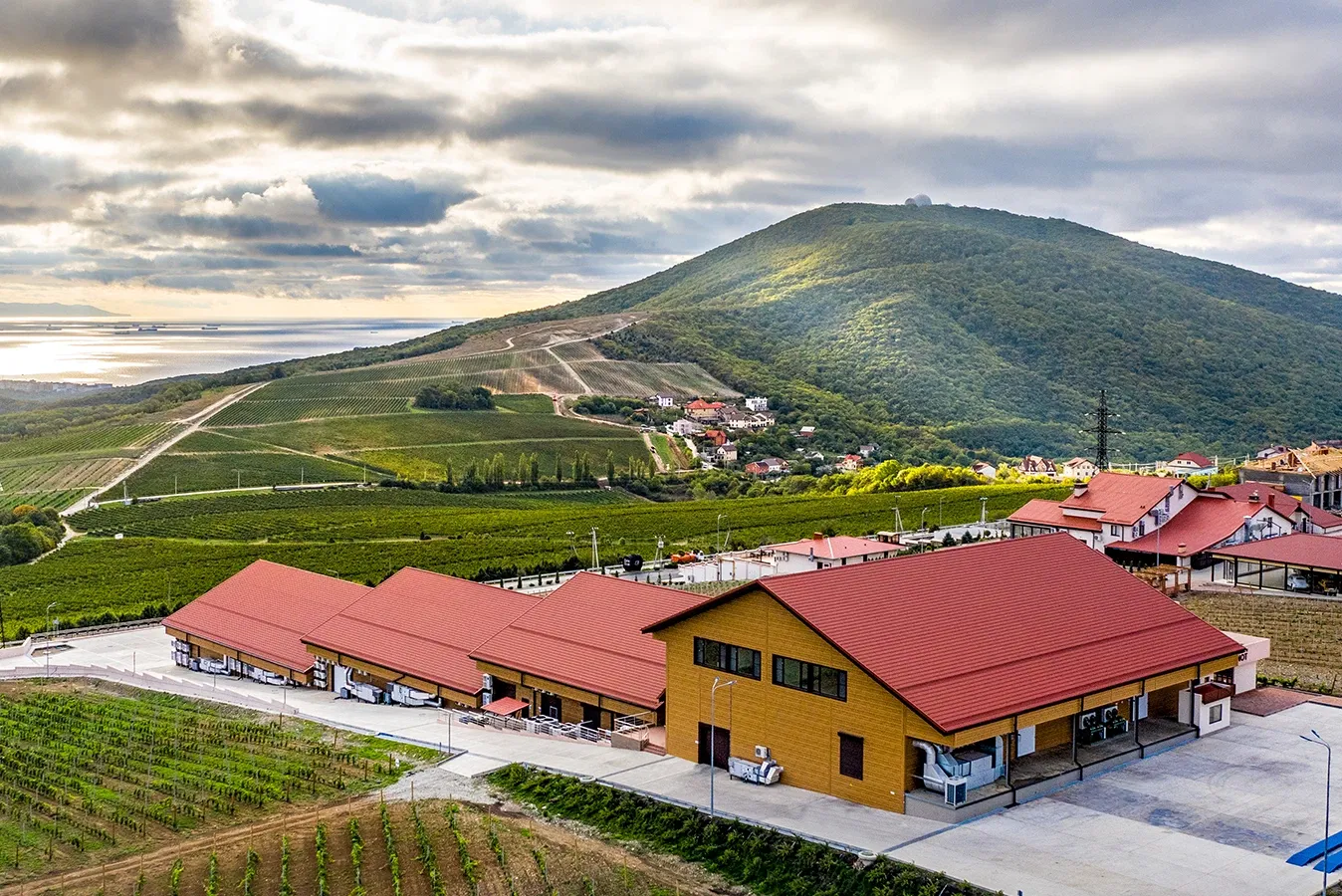 На фото винодельня «Château Pinot»