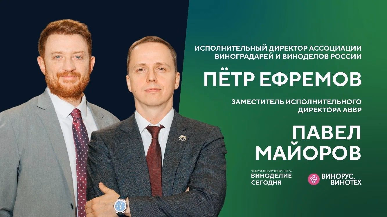 Пётр Ефремов и Павел Майоров (АВВР): на какой стадии российское виноделие, и что его ждет дальше