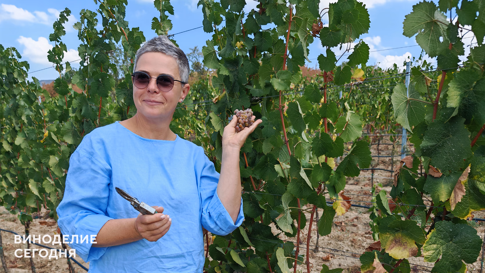 В Oxana Istratova Wine назвали качество неизменной основой авторского стиля