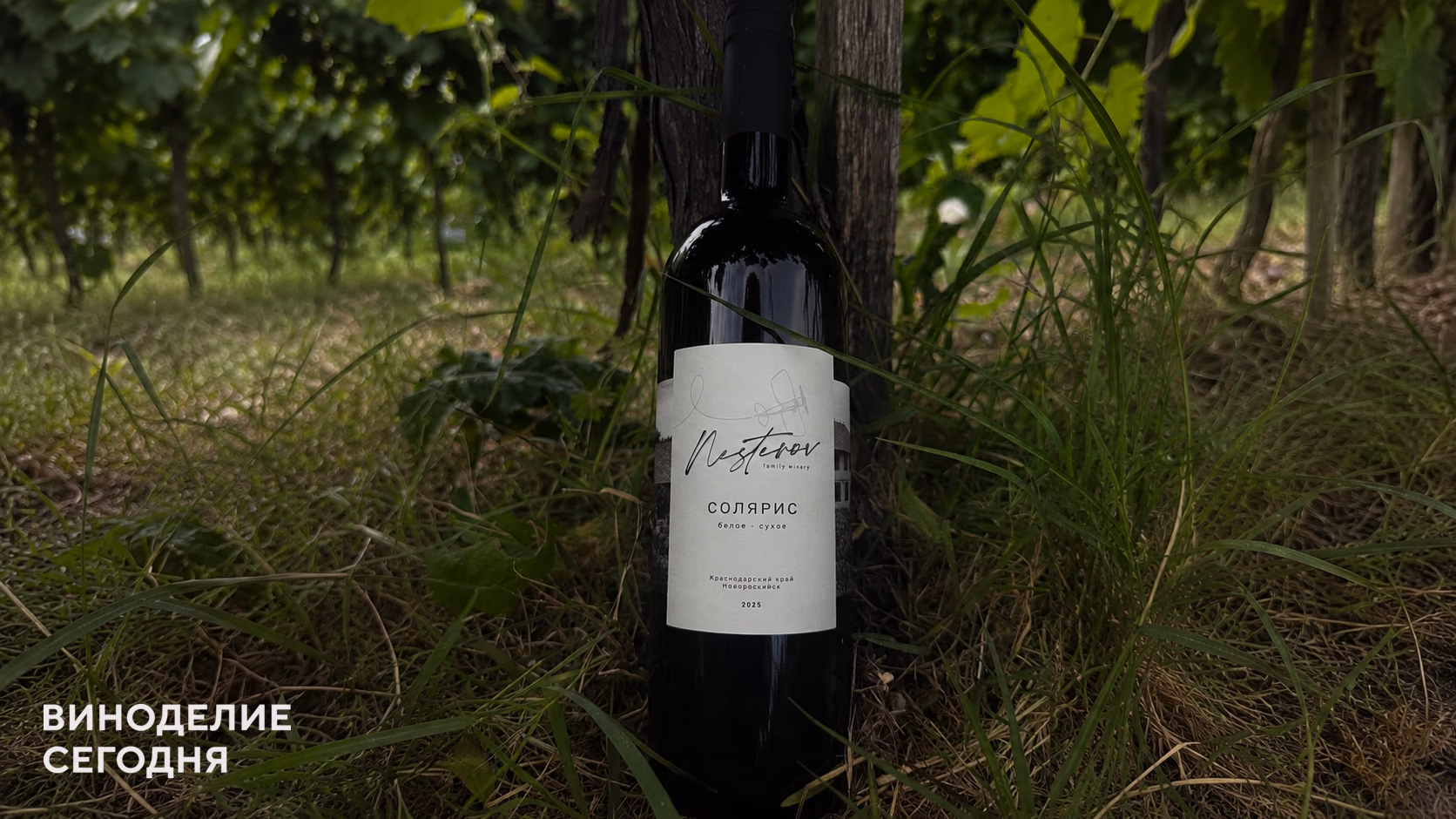 «Солярис» стал самым продаваемым вином Nesterov Winery