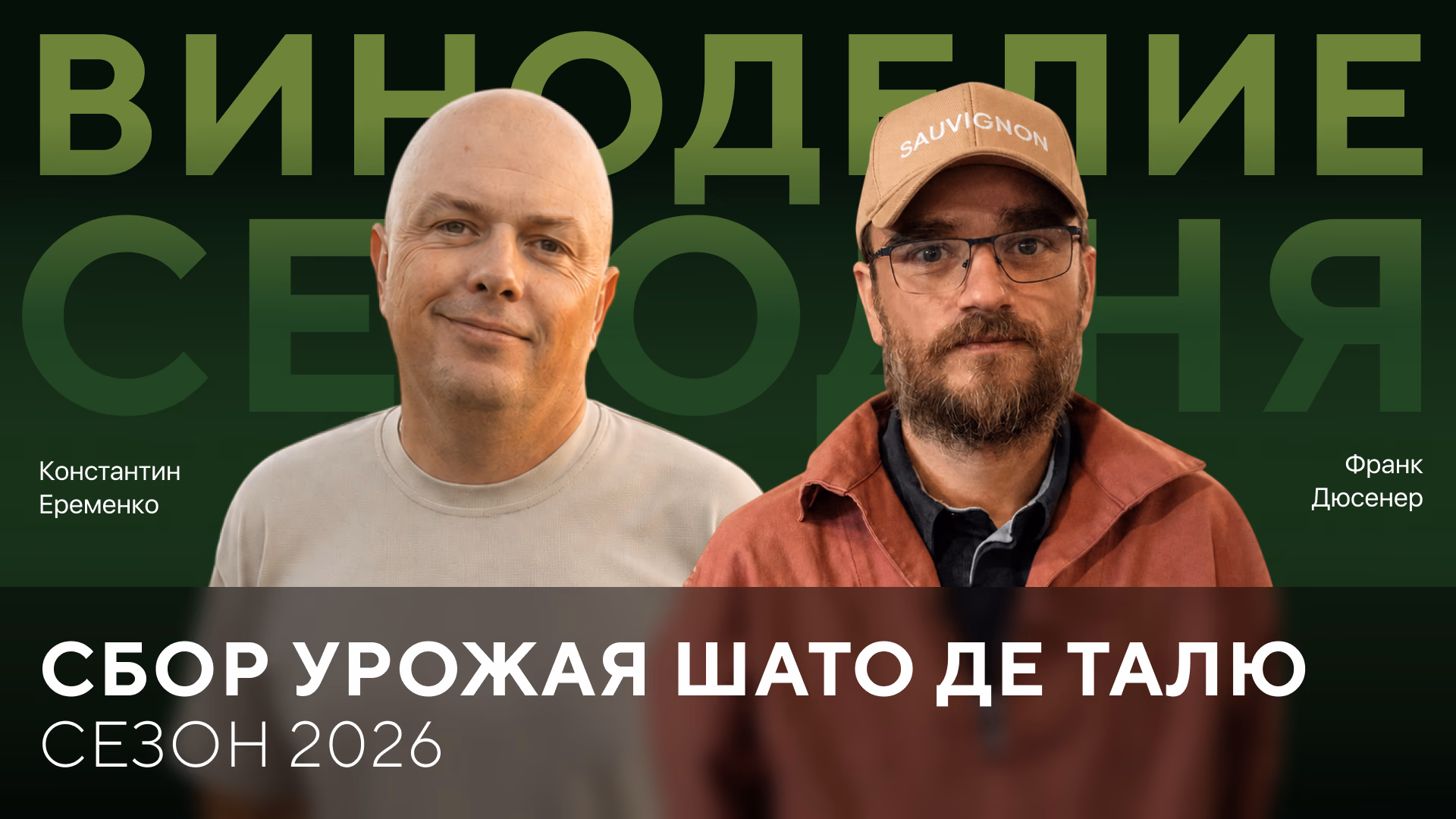 Сбор урожая Шато де Талю: сезон 2026 года