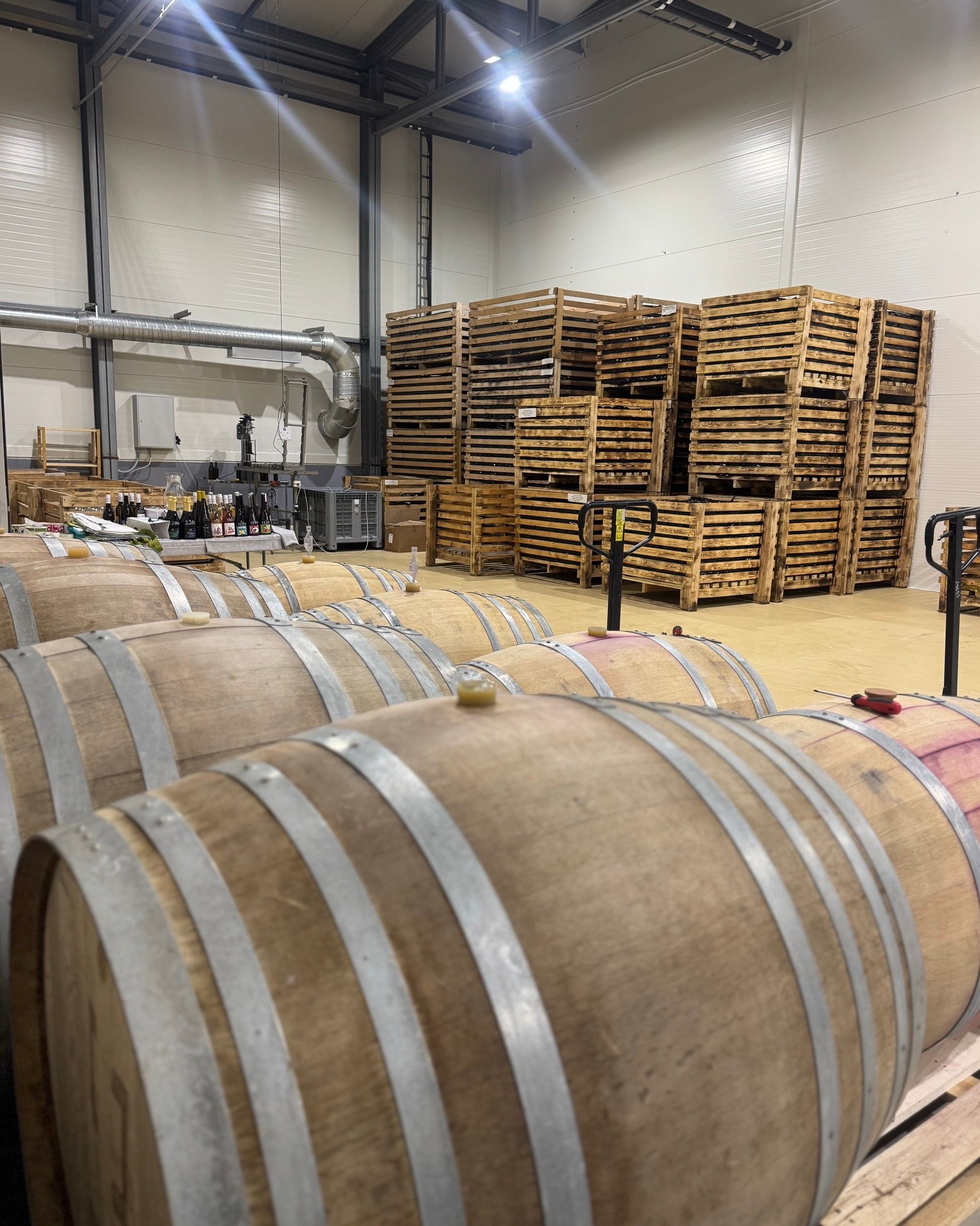 Denisov Winery — самая северная винодельня России, Самарская область