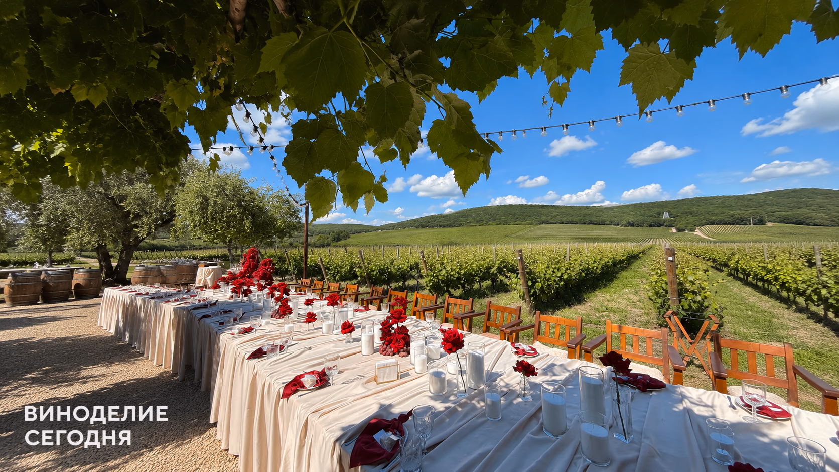 @vinoterria_event