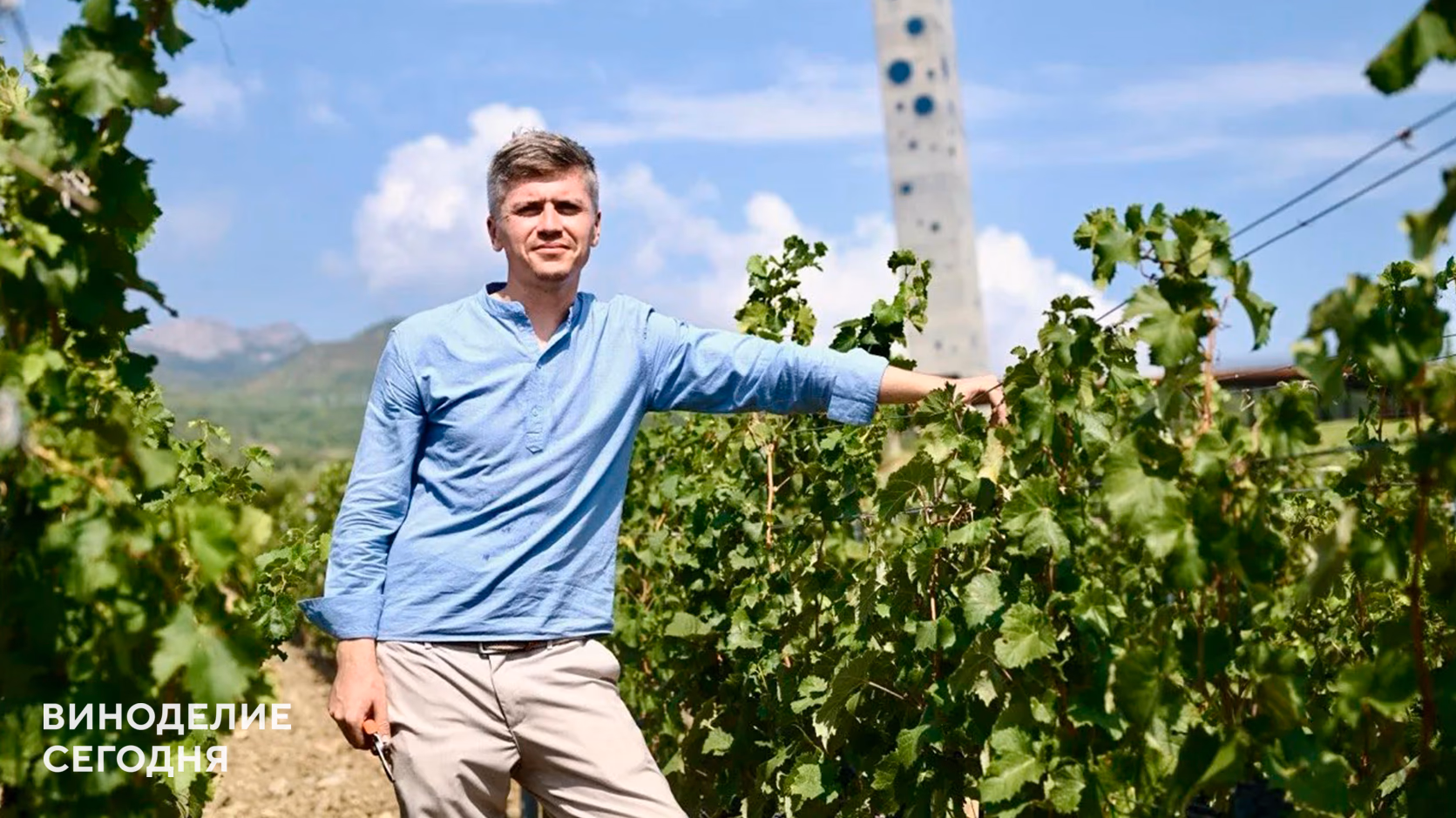 Олег Ничвидюк и Юлия Полковникова — о том, как WINEPARK прошёл органическую сертификацию